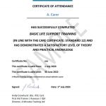 S12 certificate sample